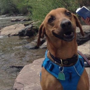 Meet your Posher, Ellen